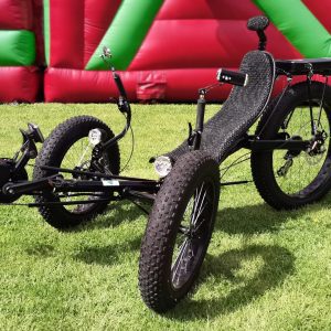 Wild Rover Adults Electric Trike
