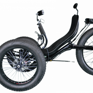 Electric Trikes for Adults
