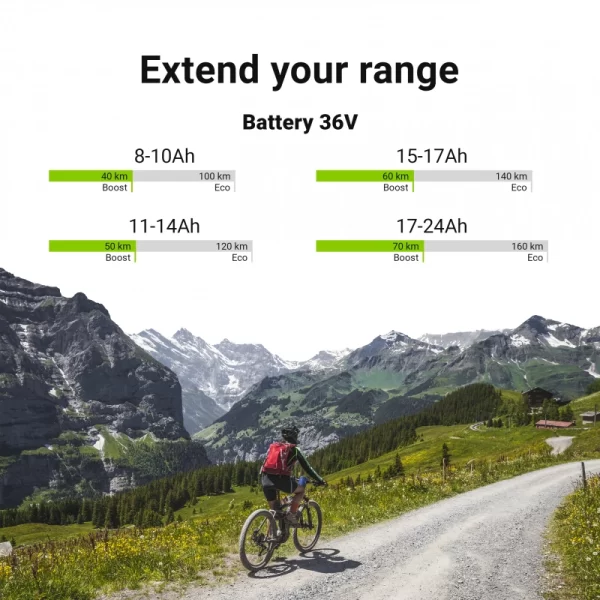 Green Cell E bike battery